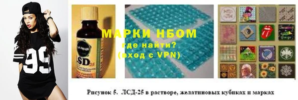 гашик Новокубанск