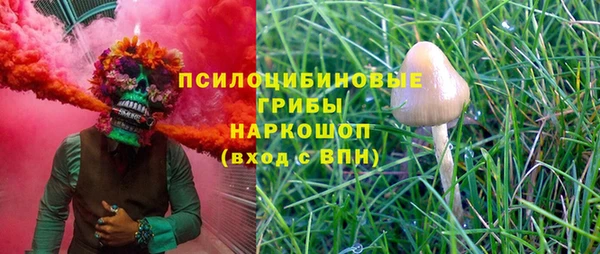 ECSTASY Новодвинск