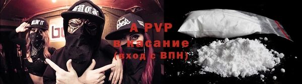 ECSTASY Новодвинск