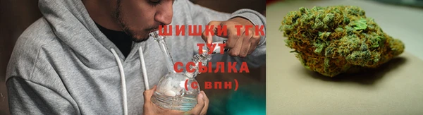 гашик Новокубанск