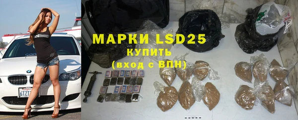 гашик Новокубанск